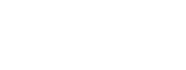 Tiger Global logo