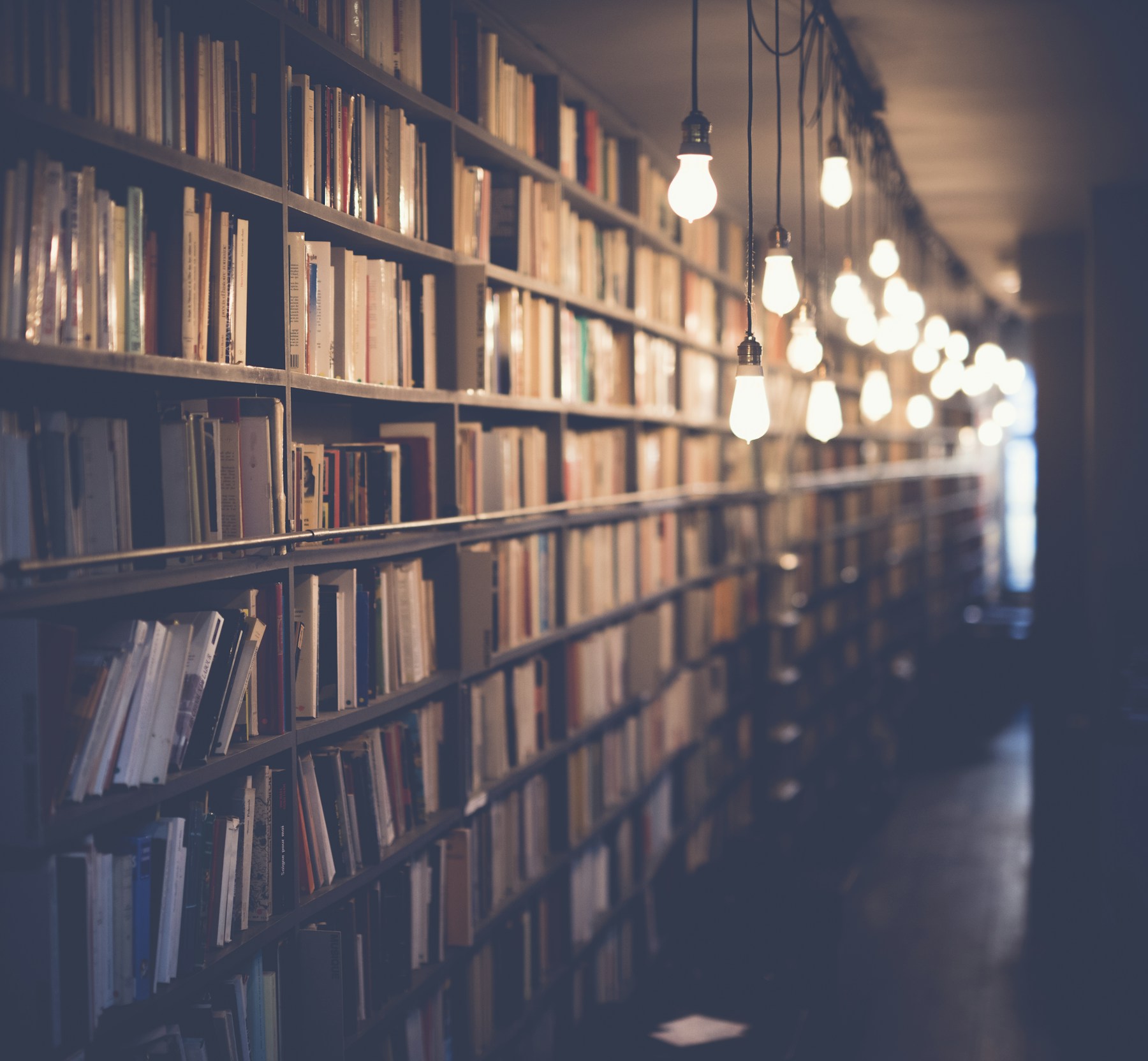Library archive shelves representing persistent enterprise memory and knowledge systems.